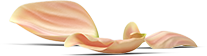 Slider1-Front_0000_Plant.png